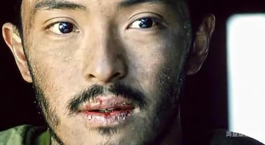 青青青国产依人在线观看，优质国产影视内容的全新体验