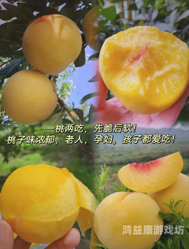 午夜精品一区二区蜜桃，探索深夜美食的独特魅力