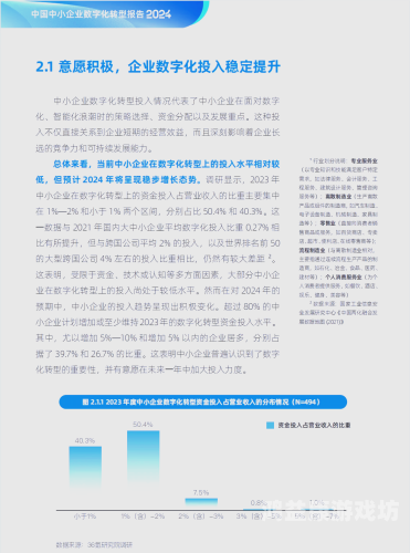 久久精品国产9久久综合，探索国产精品的崛起与未来发展趋势