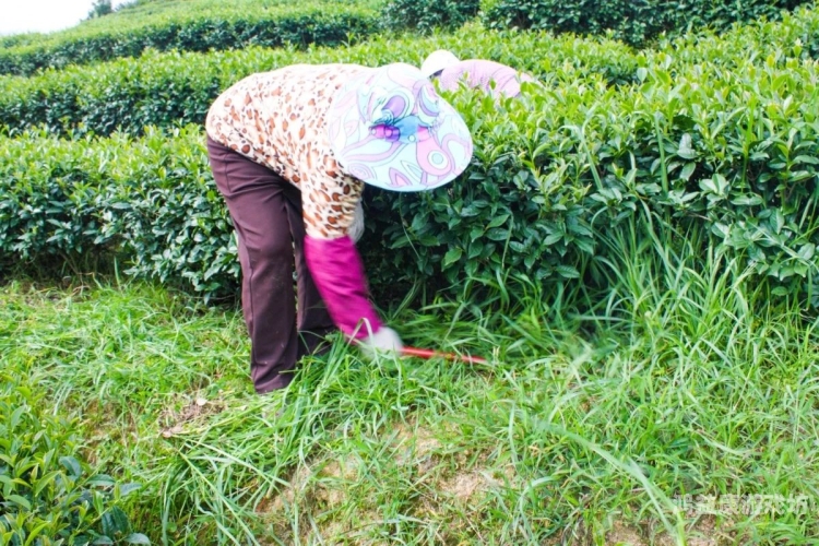 第一站视频久草网探索第一站视频久草网，内容、特色与用户体验全面解析