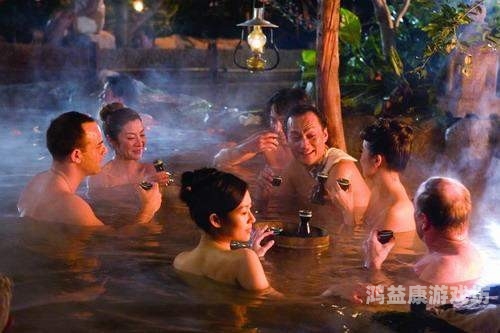 无码免费精无码免费精品影视资源，如何合法获取与安全观看指南