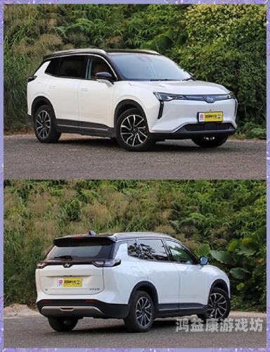 国产无码在线看，网络环境下的版权与道德挑战麻花传剧原创mv在线看咬痕