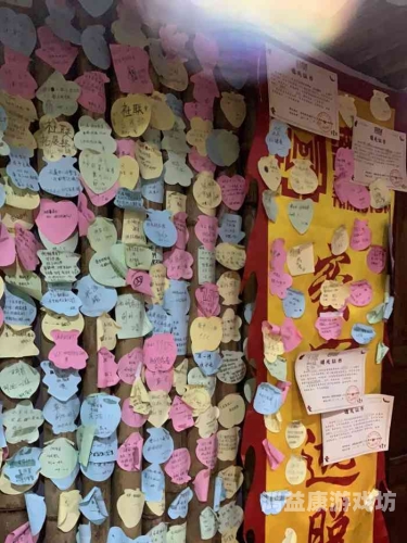 国产精品码一区二区密挑，深度解析与市场趋势