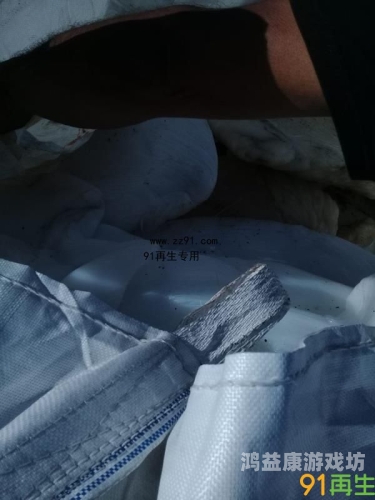 91露脸国产普通话对白k91露脸国产普通话对白K，网络文化的新现象与影响分析