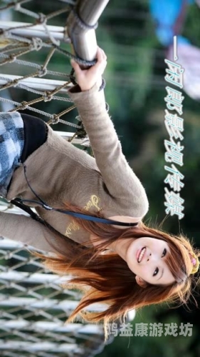 中文字幕在线码一区，解锁全球影视资源的新途径