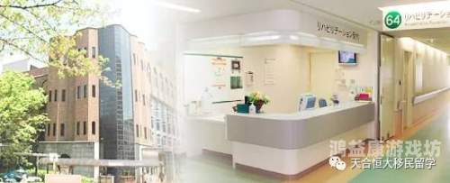 日本加勒比不卡高清一区二区三区日本加勒比不卡高清一区二区三区，深度解析日本成人影视产业的分区与市场现状