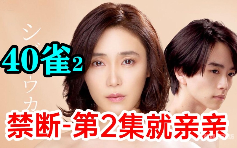 中文有码vs人妻中文无码中文有码vs人妻中文无码，内容对比与市场趋势分析