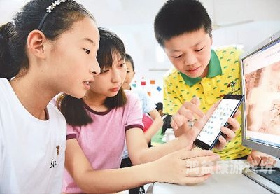 探索无码视频在线观看的新趋势，一区、二区、三区的深度解析