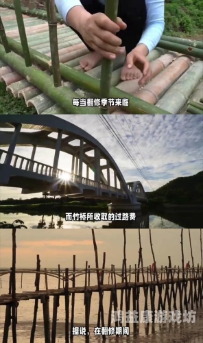 亚洲国产精品日韩在线观看，文化交融与影视产业的全球化趋势