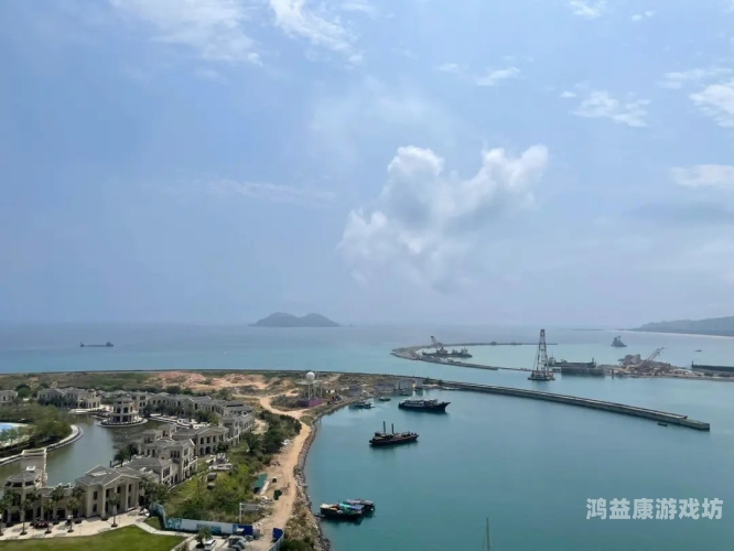 一本久久国产精品视频一本久久国产精品视频，探索国产影视的无限魅力