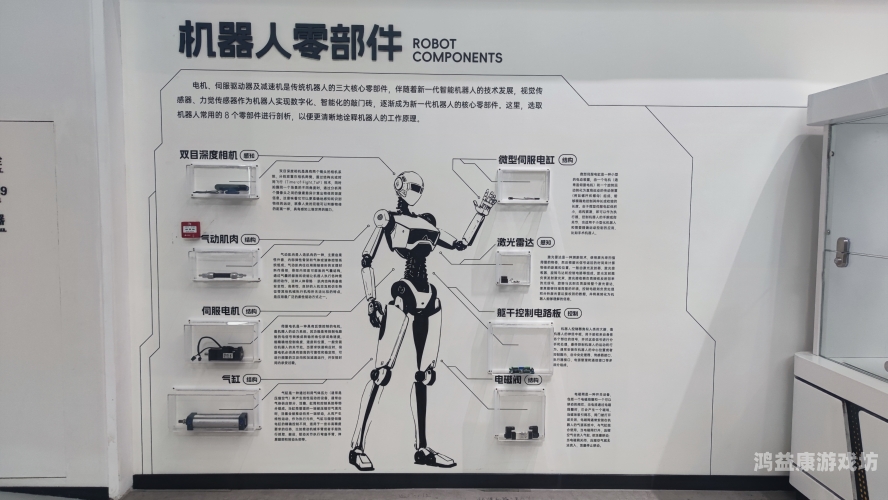 亚洲一级免费在线视频，趋势、影响与未来展望