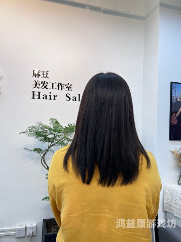 麻豆精品一区二区麻豆精品一区二区，探索高品质生活的理想之地