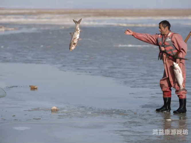 亚洲欧洲精品在线观看亚洲欧洲精品在线观看，探索全球影视文化的窗口