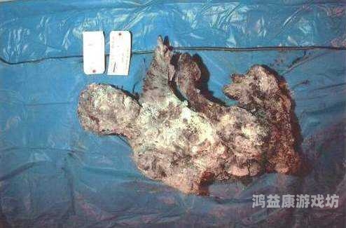 911亚洲中文字幕911亚洲中文字幕，历史事件的视觉呈现与文化解读