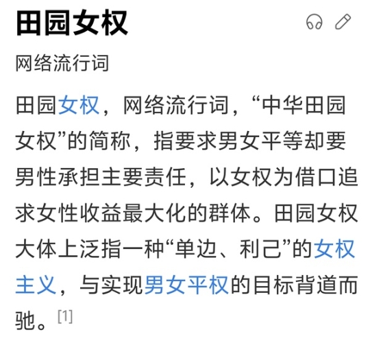 国产女奴一区二区，网络文化中的性别议题与反思