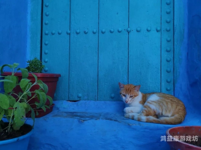 亚洲无码另类色亚洲无码另类色，探索多元化艺术表达的边界