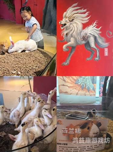 探索无码久本草在线中文字幕DVD的魅力与影响