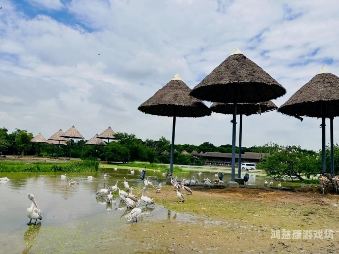 亚噜噜狠久久香蕉人妖亚噜噜狠久久香蕉人妖，探索泰国人妖文化的独特魅力