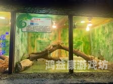 国产高清一区二区三区人妖文化现象解析，艺术、争议与社会认知