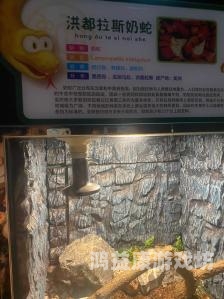 国产高清一区二区三区人妖文化现象解析，艺术、争议与社会认知