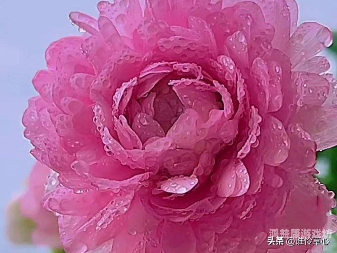 国内激情精品久久久，探索中国文化的持久魅力内心激情澎湃,久久不能平静