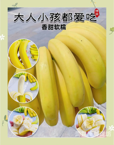 一本大道香蕉高清久久，探索香蕉种植与加工的全产业链