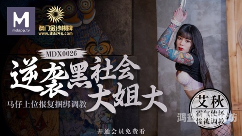 中文字幕久久精品无码不卡，探索高质量影视资源的未来趋势