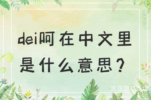 久久久一本精品99久久精品99，探索数字时代的文化现象与消费趋势久久久一本精品99久久精品网