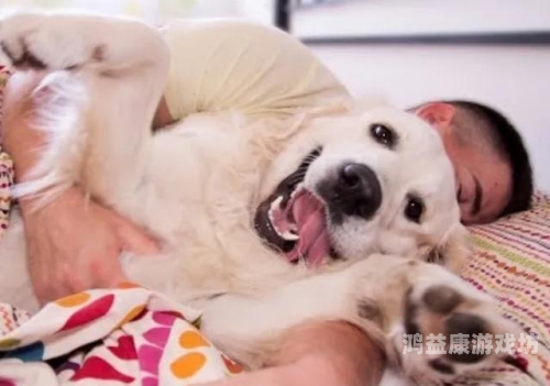 欧美牲交a欧牲交aⅴ久久欧美畜牧业发展现状与未来趋势分析