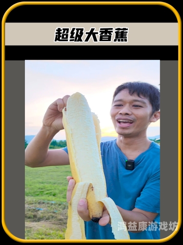 国产香蕉在线地址，探索国产香蕉的种植、销售与未来发展趋势中国大陆香蕉2019年新款