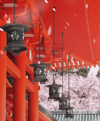 日本一点不卡高清日本网络体验为何如此流畅？揭秘日本一点不卡高清背后的秘密