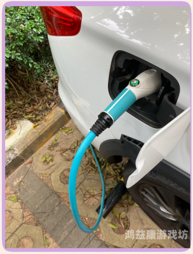 在线观看网站深夜网址深夜在线观看网站网址大揭秘，安全与风险并存