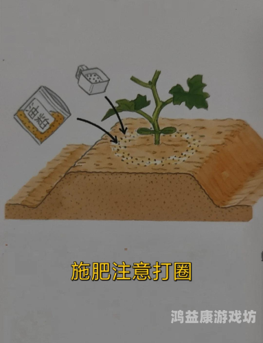 亚洲、欧美、日韩及国产丝瓜的多样性与全球影响