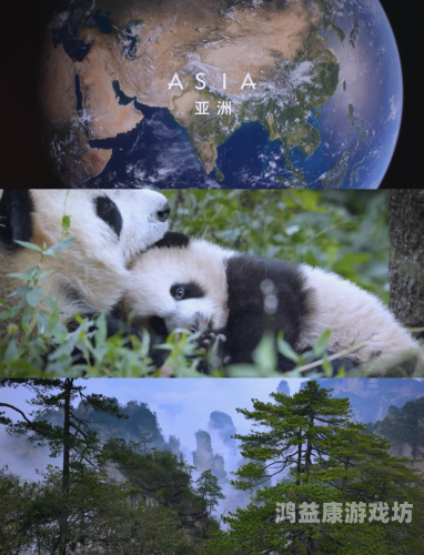 亚洲精品另类国产亚洲精品另类国产，探索独特文化魅力的新视角