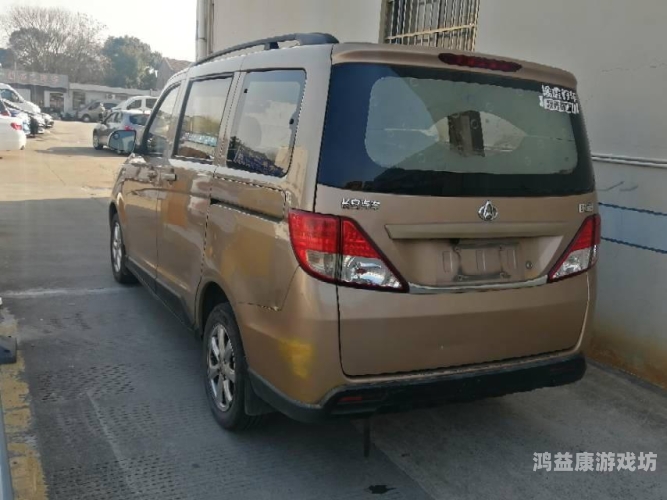 国产精品无码A∨精品国产精品无码AV精品，探索国产成人影片的崛起与市场影响