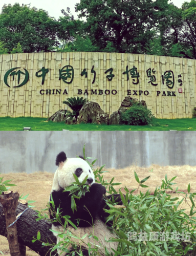 伊人久久精品青青草原，探索草原文化的魅力与传承