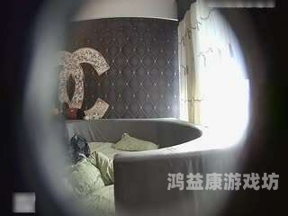 探索一本一本久久a久久精品综合不卡背后的文化与价值