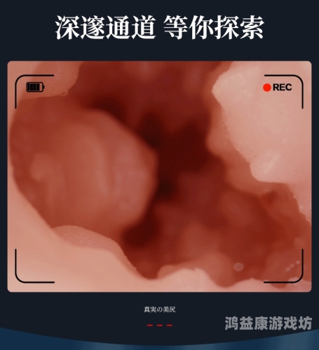 蜜臀久久久亚洲精品国产蜜臀久久久亚洲精品国产，探索亚洲美臀文化的独特魅力