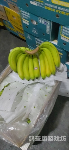 精品香蕉一区二区三区精品香蕉一区二区三区，品质与口感的完美结合