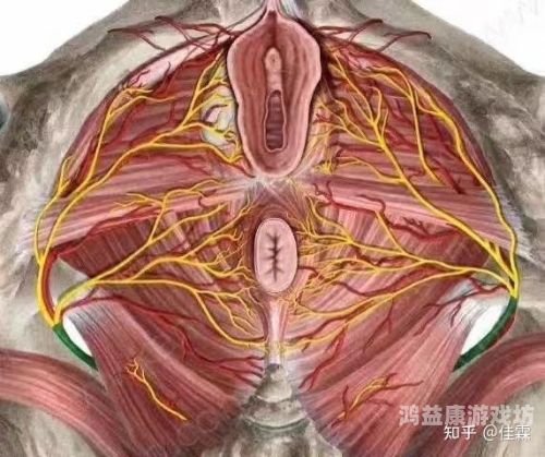 高潮精品视频网站频道探索高潮精品视频网站频道，优质内容与用户体验的完美结合