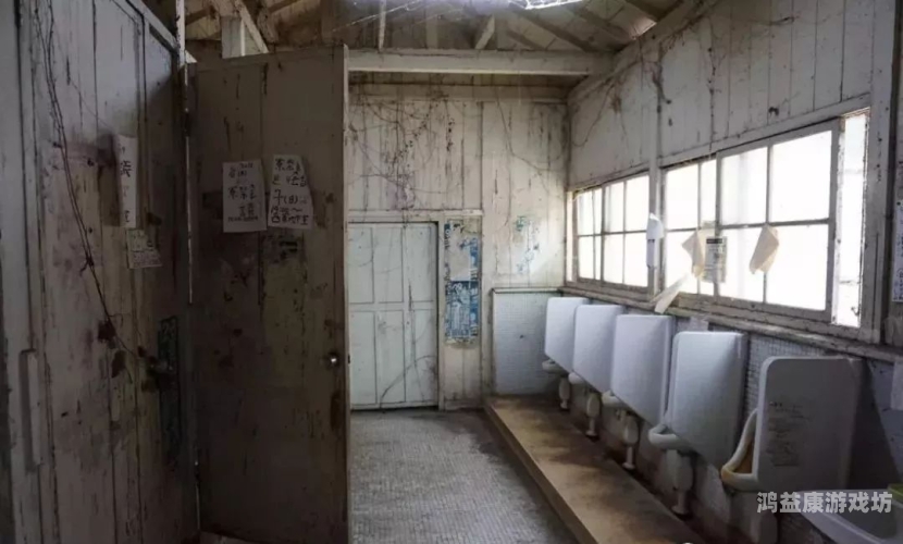 亚洲厕所文化在线观看，探索不同国家的卫生设施与习俗