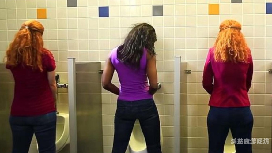亚洲厕所文化在线观看，探索不同国家的卫生设施与习俗