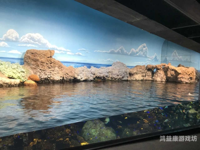 岛国免费一区二区三区最新资讯，深度解析日本文化、旅游与科技发展 一区二区