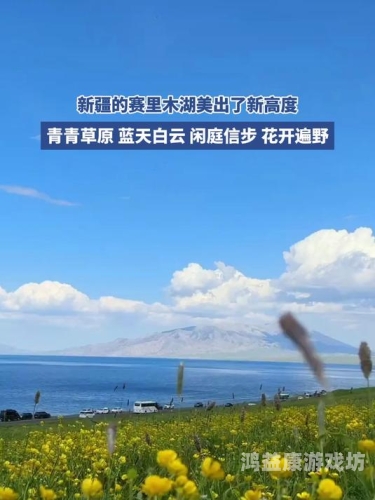 青青草原亚洲av电影青青草原亚洲AV电影，行业现状、市场分析与未来趋势