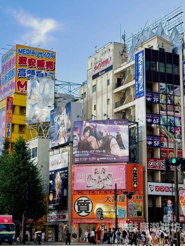 深入解析亚洲专区日本专区，文化、经济与旅游的全方位指南