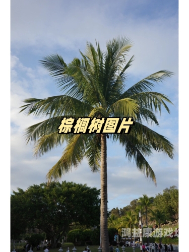 久久清清草视频，绿色生活的倡导者还是生态破坏的隐患？久热青青视频在线观看 172.82.171.2