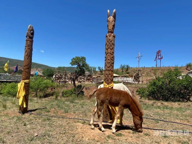 久久综合一区欧美，探索多元文化与娱乐的交汇点