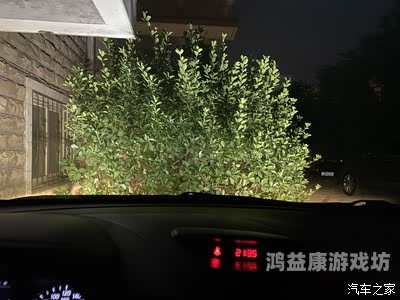 日本高清无卡码一区二区久久日本高清无卡码一区二区久久，网络视频流媒体的未来趋势