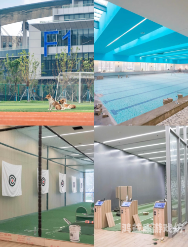 欧美一区二区国产精品日韩，全球影视文化的多元融合与竞争