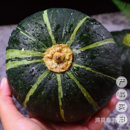 国产精品无码综合区探索国产精品无码综合区的崛起与发展